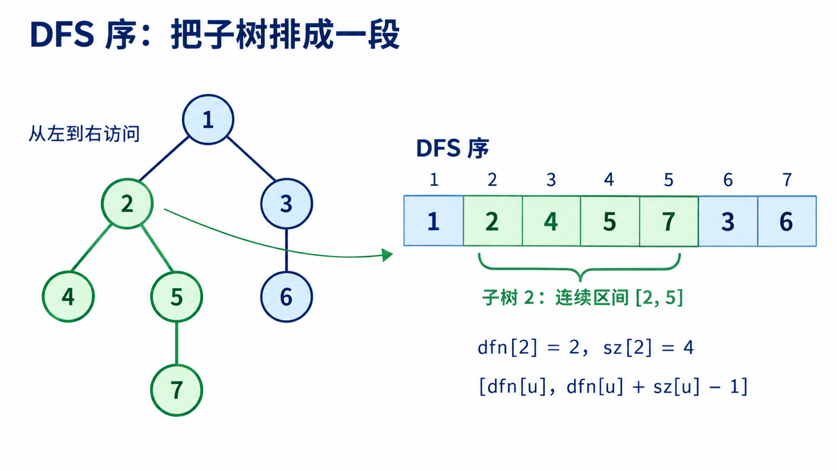 七点树的DFS序为1、2、4、5、7、3、6；节点2的子树包含2、4、5、7，对应从1编号的数组闭区间（2,5）。